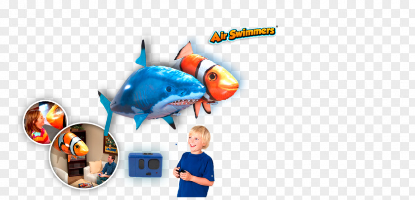 Fish Desktop Wallpaper Computer PNG