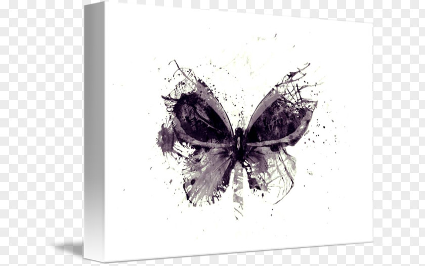 Glossy Butterflys Butterfly Art Printmaking Imagekind Blue PNG