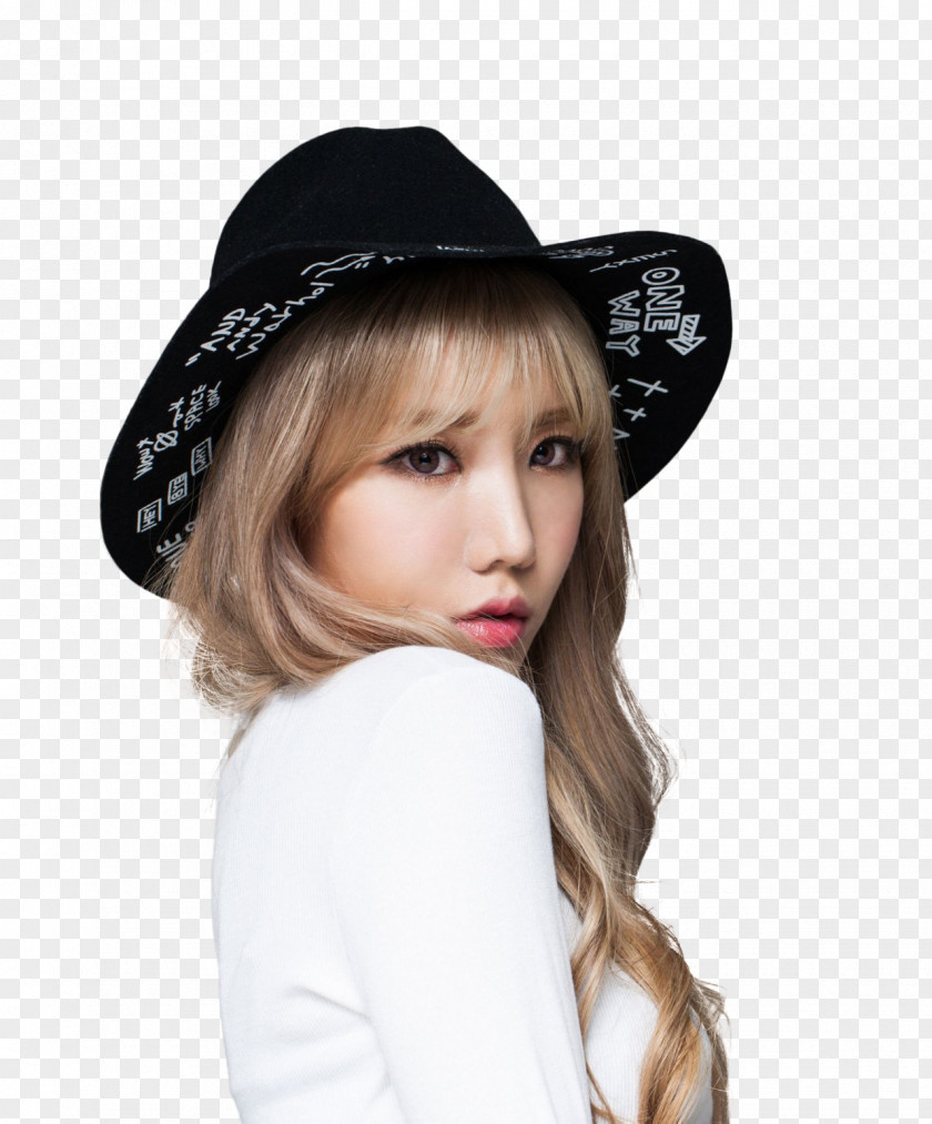 Hat Sun Fedora Brown Hair PNG