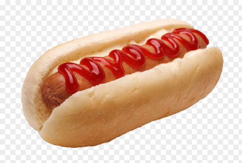 Hotdog Food Carbohydrate Sugar Health Alimento Saludable PNG
