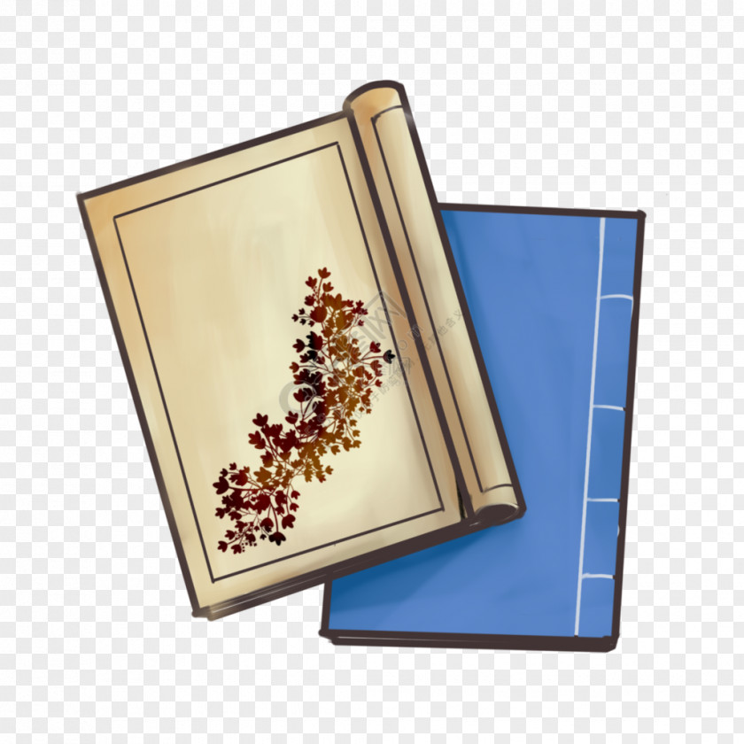 Picture Frame Plant White Background PNG