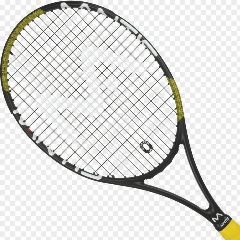 Tennis Racket Rakieta Tenisowa Babolat Strings PNG