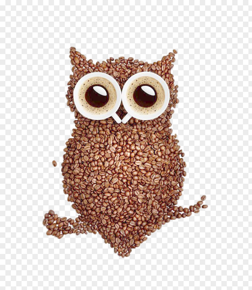 The Shape Of Coffee Picture Material Bean Tea T-shirt Owl PNG