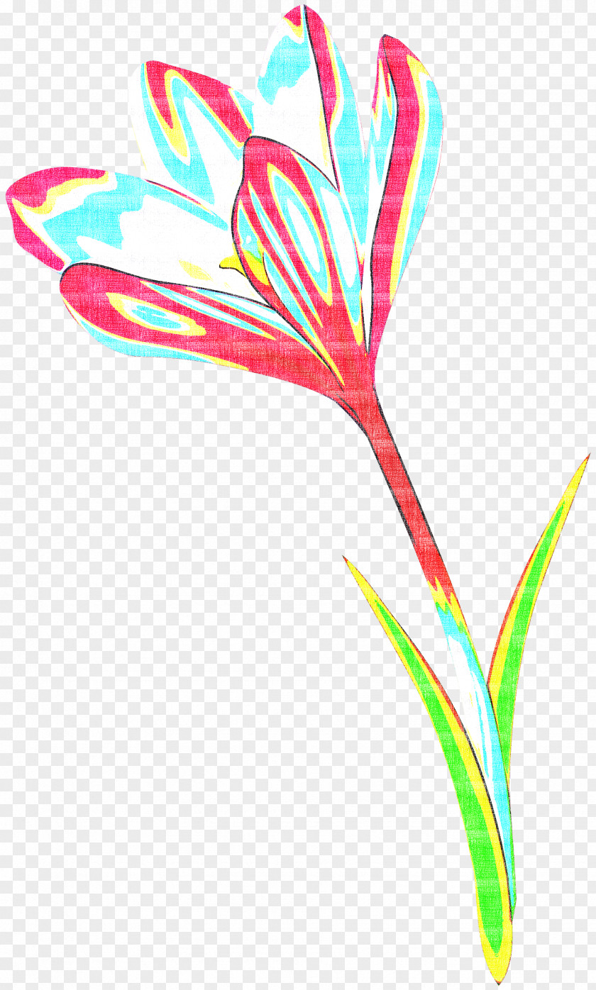 Plant Flower Pedicel Stem PNG