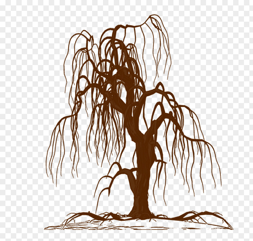Tree Wall Decal Weeping Willow Drawing Silhouette PNG