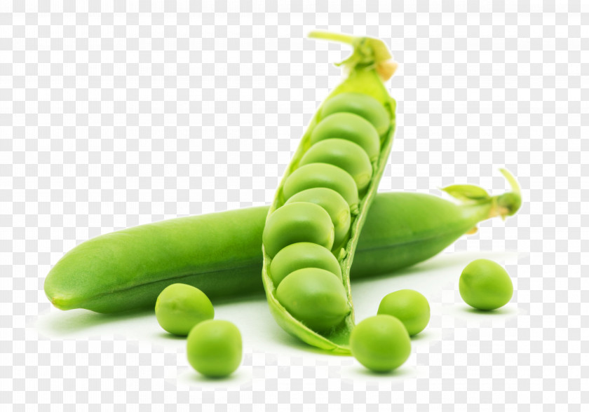 Fine Peas Dal Pea Protein Vegetable Food PNG