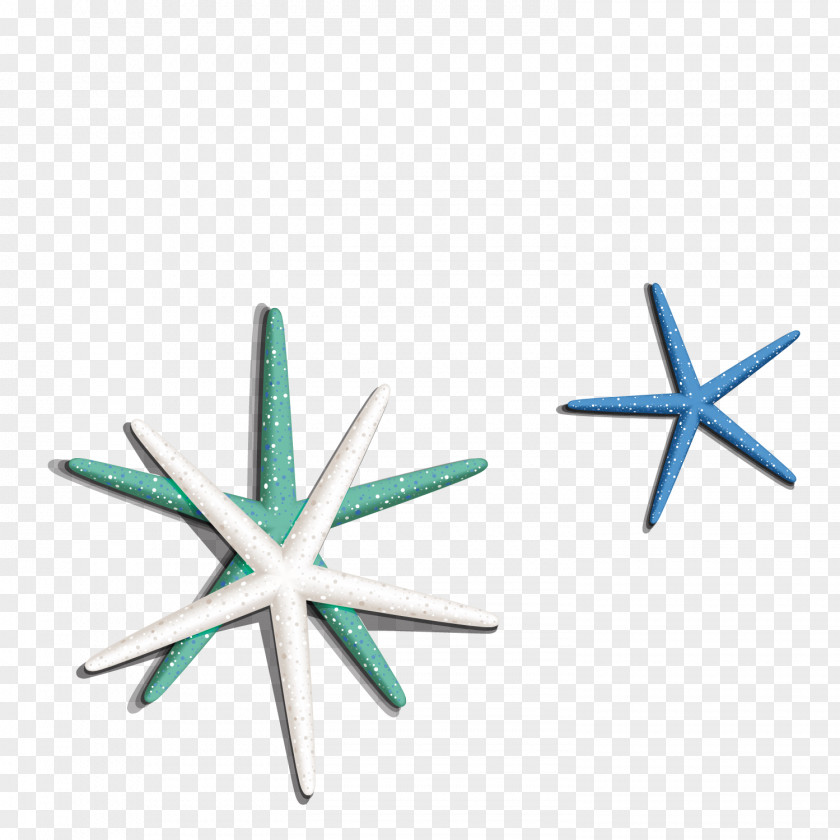 Sea Starfish Seashell Euclidean Vector PNG