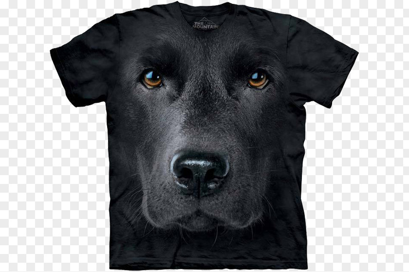 T-shirt Long-sleeved Labrador Retriever Clothing PNG