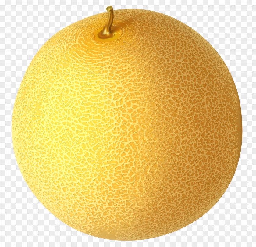 Cantaloupe Clipart Picture Icon Clip Art PNG