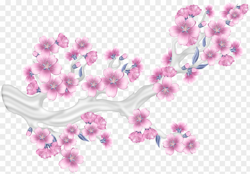 Cherry Blossom Pink Flower Clip Art PNG
