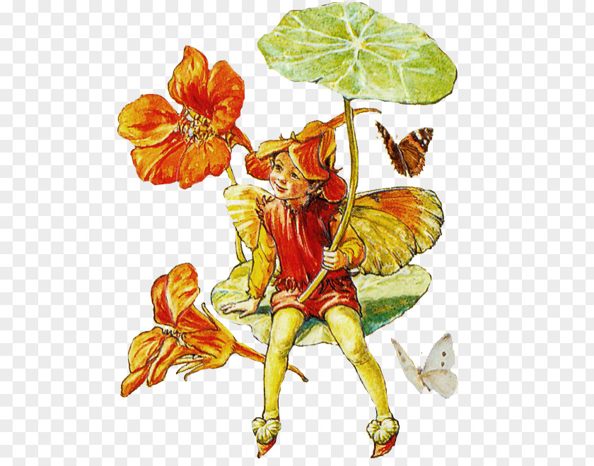 Fairy A Flower Alphabet The Book Of Fairies PNG