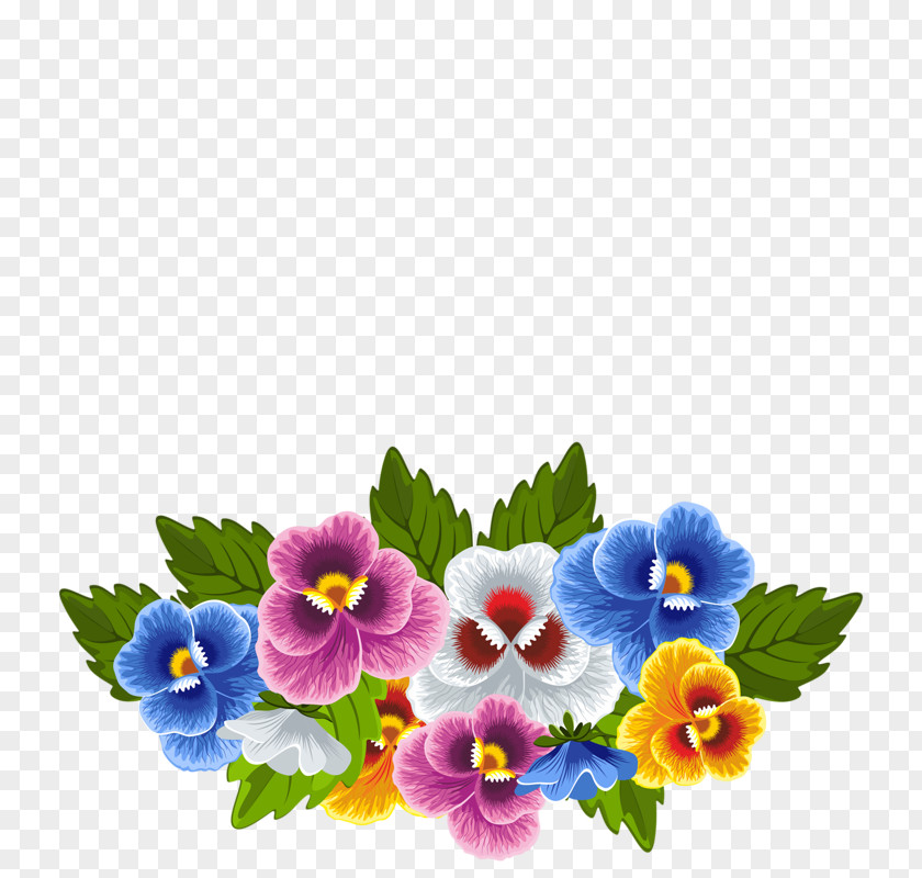 Picture Frames Pansy Clip Art PNG
