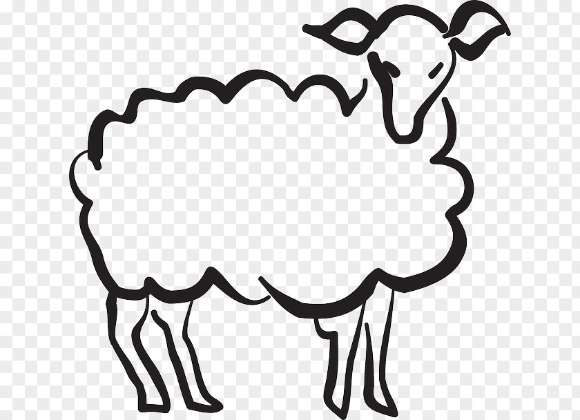 Sheepish Pictogram Precious Lamb Sheep Drawing Image Illustration PNG