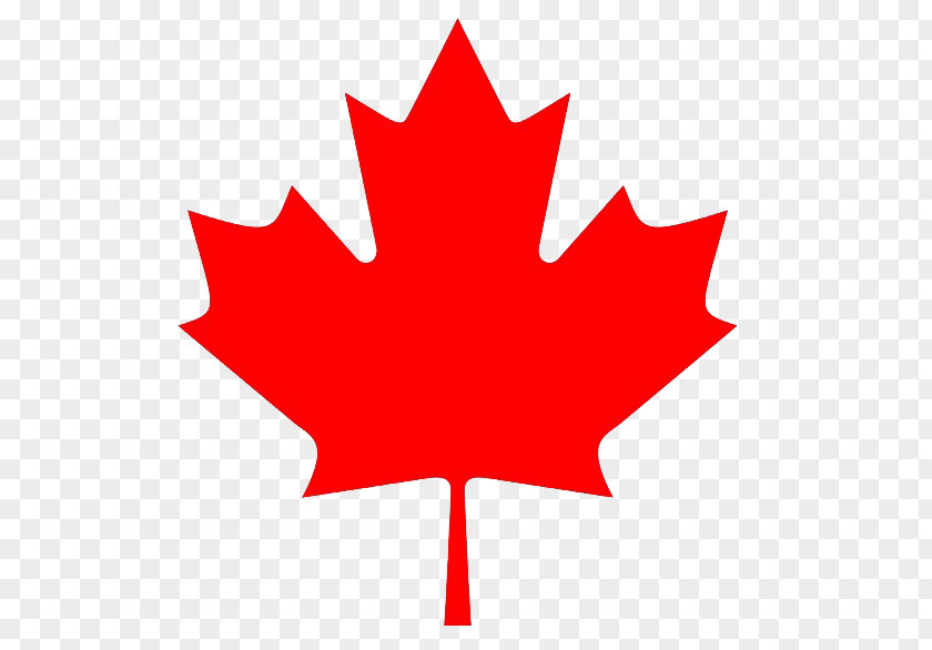 Canada Maple Leaf Clip Art PNG