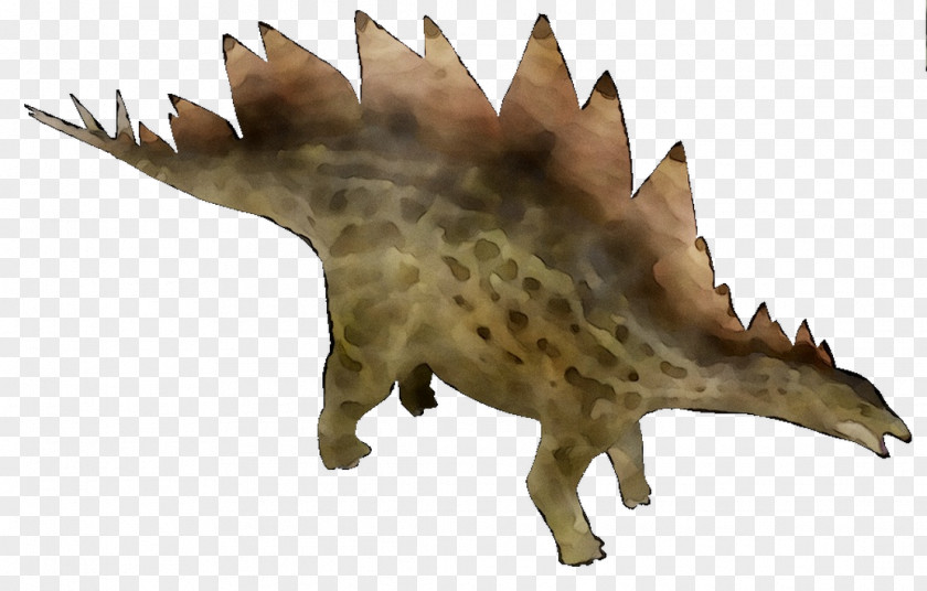 Dinosaur Fauna Terrestrial Animal Snout PNG