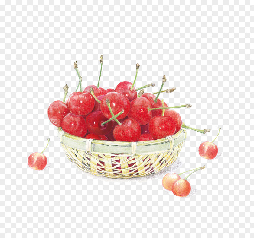 Hand-painted Cherry Drawing Colored Pencil Strawberry Illustration PNG