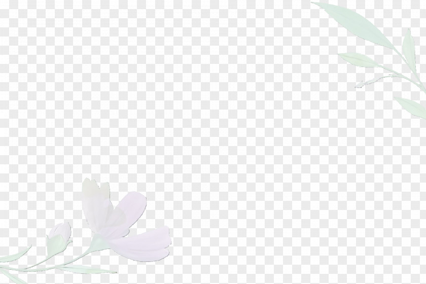Petal Common Lilac Leaf Font Computer PNG
