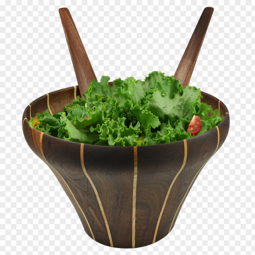 Salade Tableware Bowl Saladier Leaf Vegetable PNG