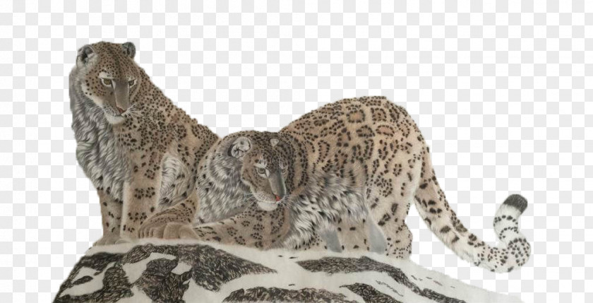 Two Cats On The Top Of Mountain Snow Leopard Cheetah Cat PNG