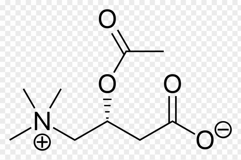 Acetylcarnitine Amino Acid 3-Nitrobenzoic 4-Nitrobenzoic 4-Hydroxybenzoic PNG