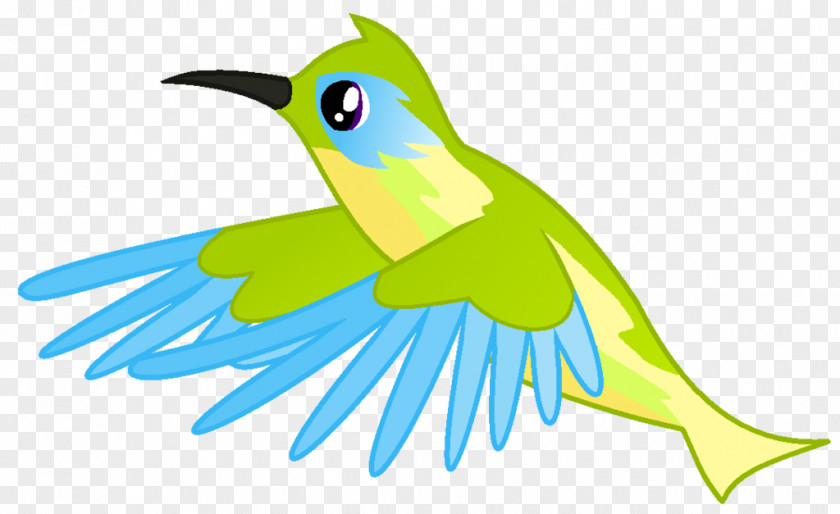 Bird Hummingbird Macaw Clip Art PNG