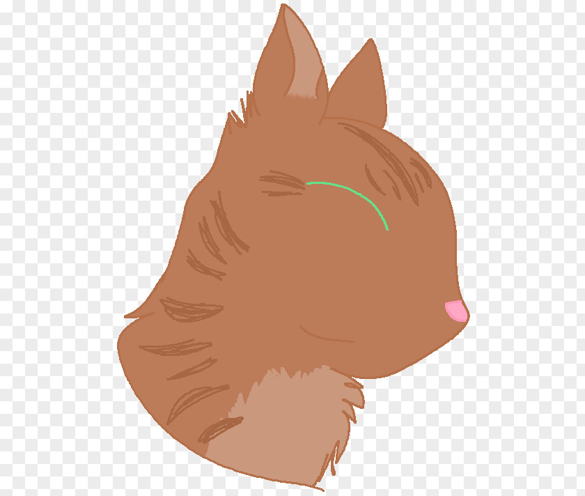 Cat Whiskers Snout Dog Canidae PNG