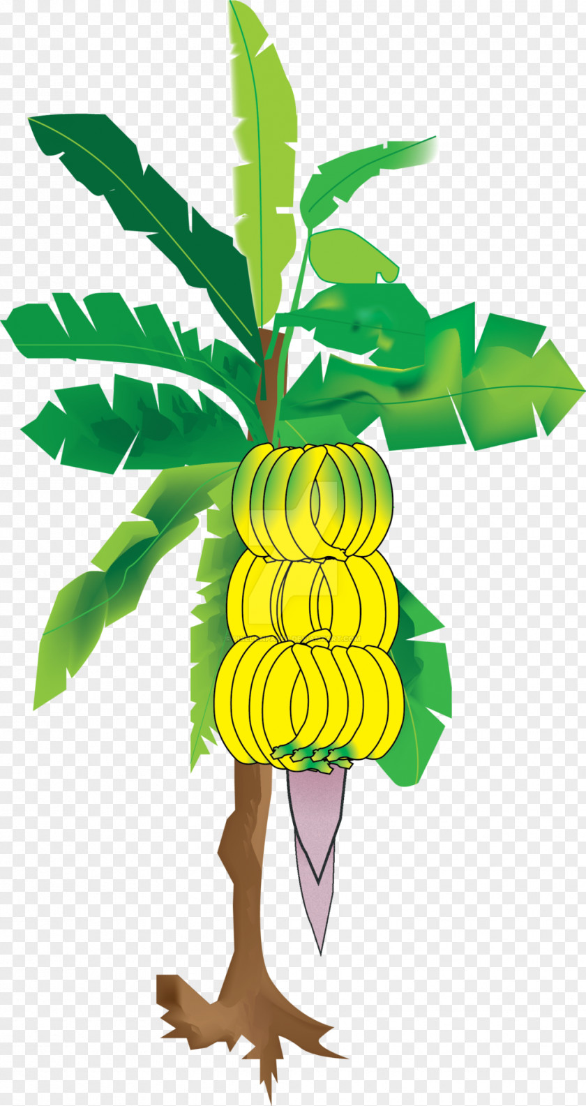 Coconut Tree Cooking Banana Bread Clip Art PNG