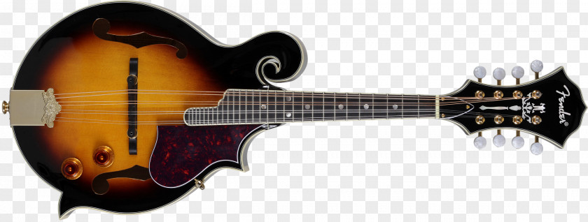 Guitar Fender Stratocaster Mandolin Sunburst Archtop PNG