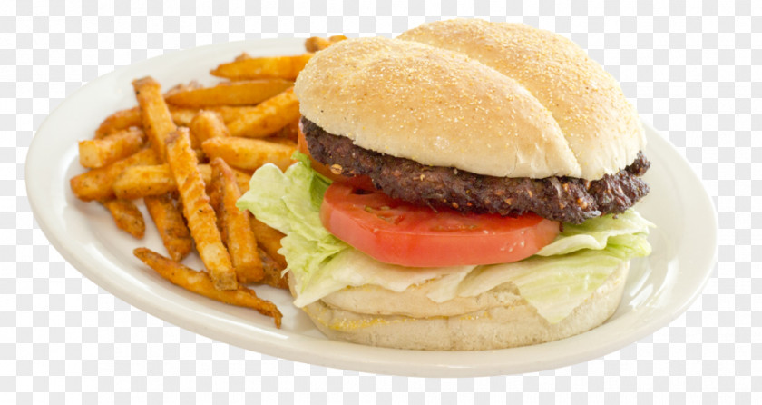 Kebab Wrap French Fries Breakfast Sandwich Cheeseburger Buffalo Burger Fast Food PNG