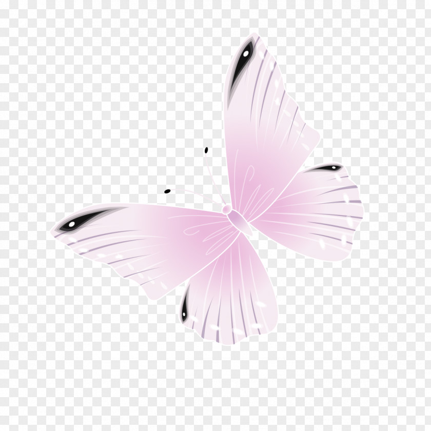 Pink Butterfly Wallpaper PNG