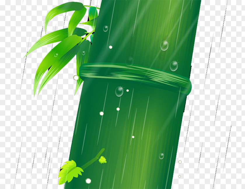 Bamboo Bamboe Leaf PNG