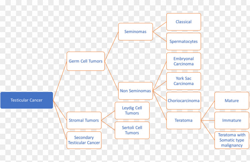 Cancer Brand Organization PNG