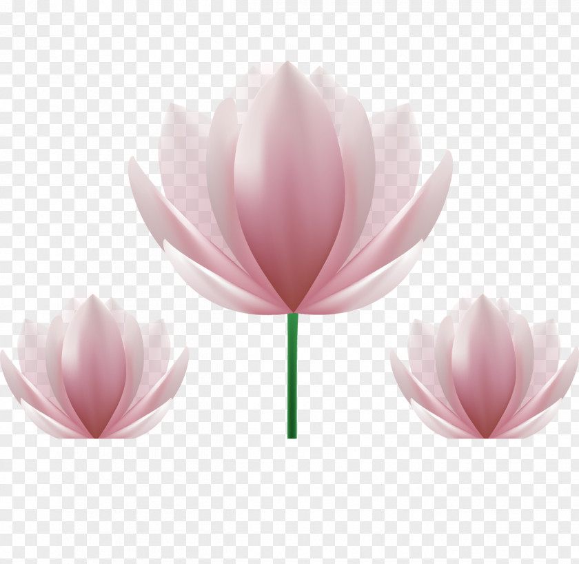 Cartoon Fantasy Lotus Nelumbo Nucifera PNG