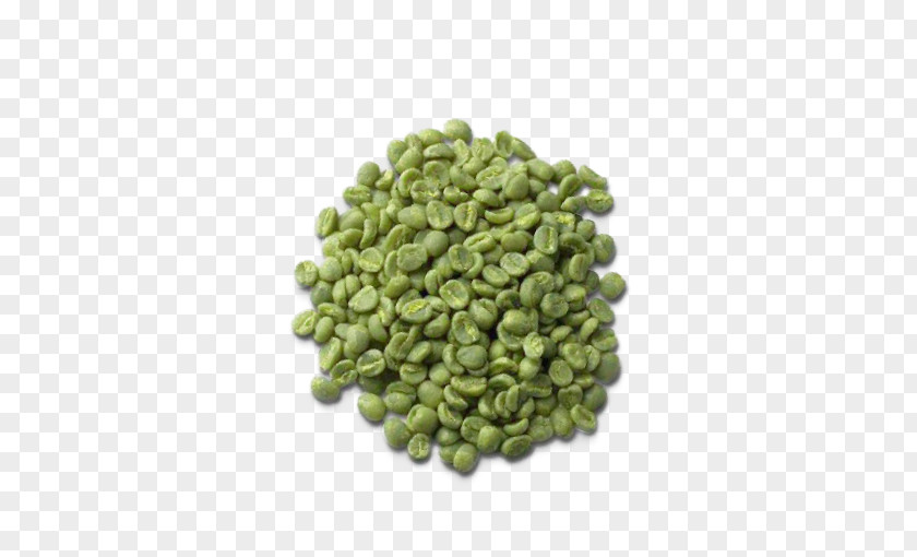 Coffee Beans Bean Green Tea Mate Extract PNG