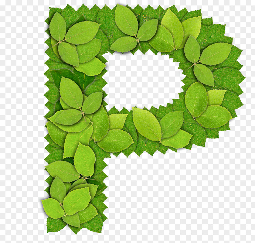 Leaves Letter P Computer File PNG