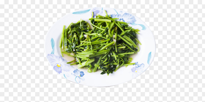 Stir-fried Vegetables Namul Stir Frying Vegetable PNG