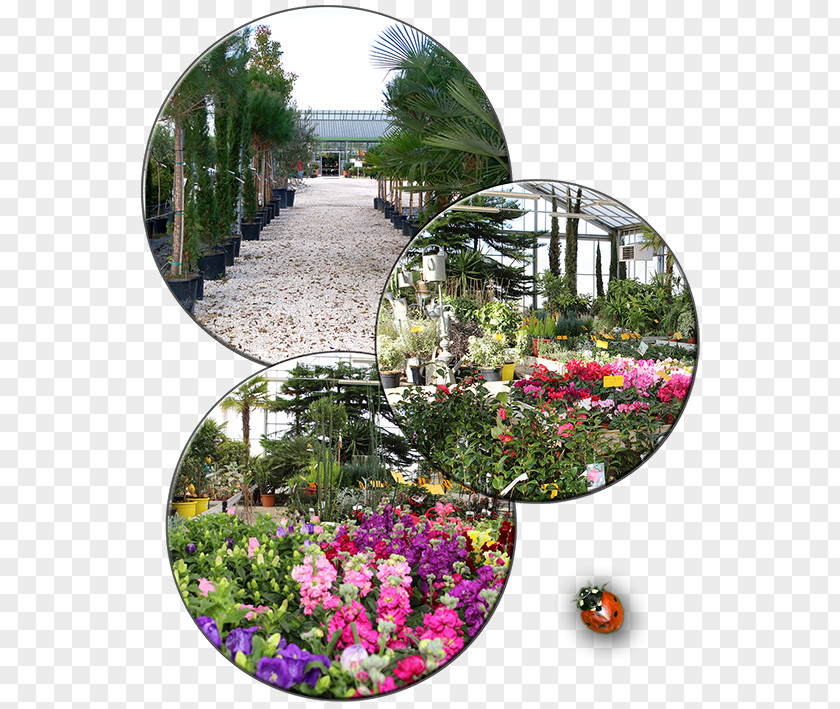 Activite Pépinières Paysages Thibault Botanical Garden Landscaping Floristry PNG