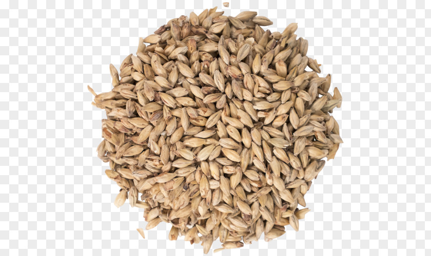 Beer Oat Pale Ale Malt PNG