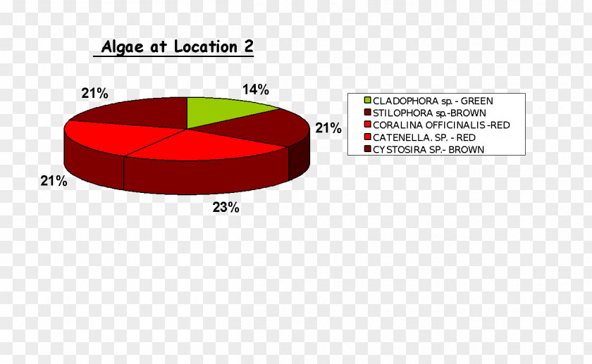 Biology Teacher Brand Diagram Product Design Line PNG