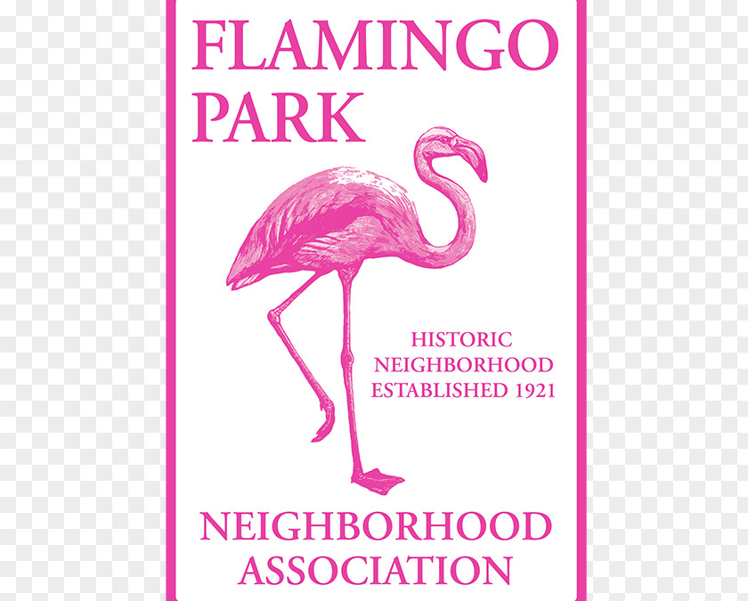 Bird Il Fenicottero Greater Flamingo Paper Book PNG