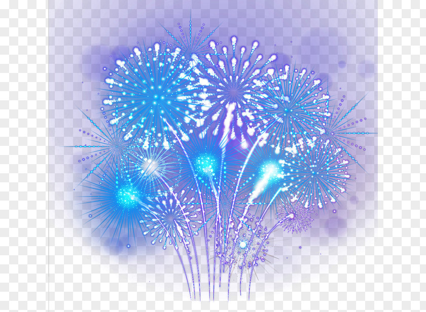 Fireworks Sumidagawa Festival Blue PNG