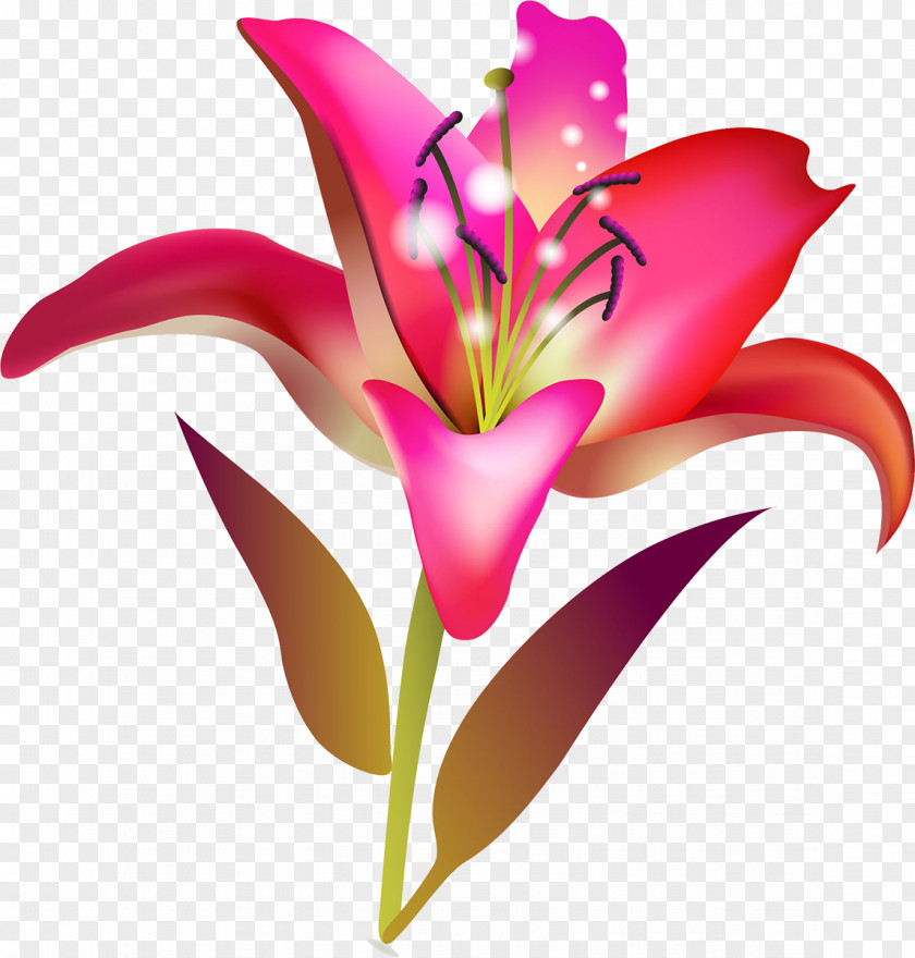 Flower Lilium Floristry Cut Flowers Painting PNG