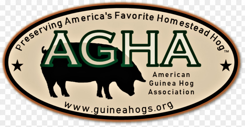 Pig Guinea Hog Breed Animal PNG