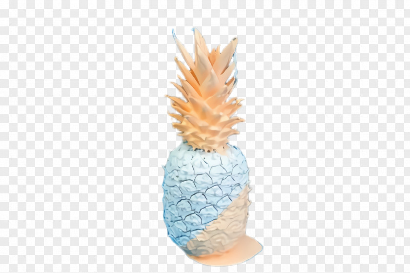 Poales Vase Pineapple PNG