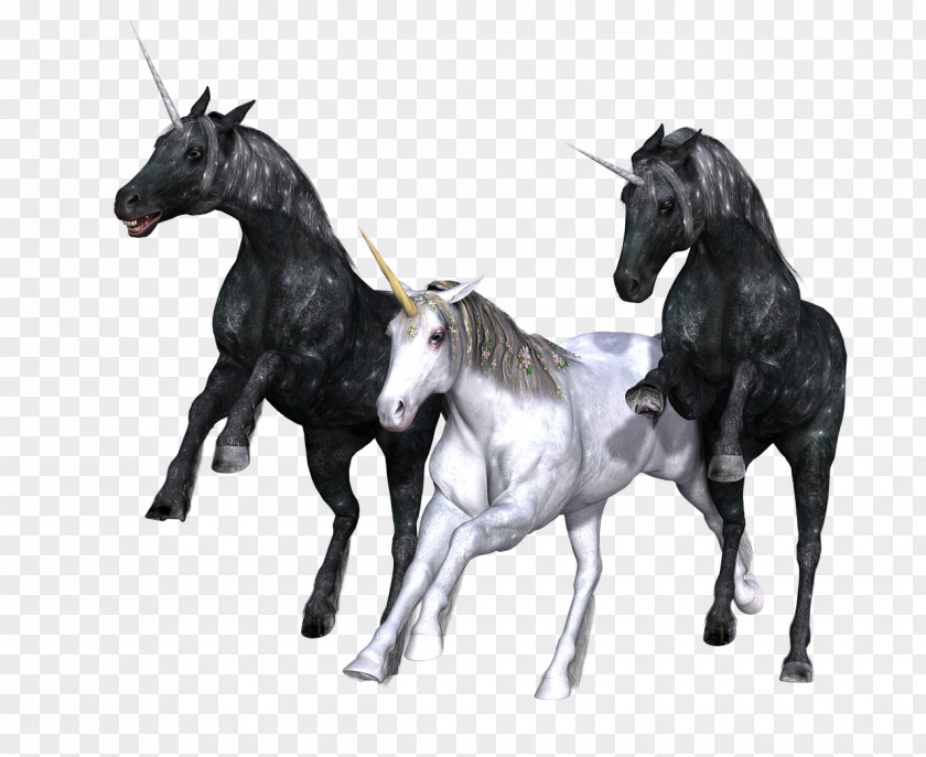 Unicorn Horn Legendary Creature Fairy Tale Fantasy PNG
