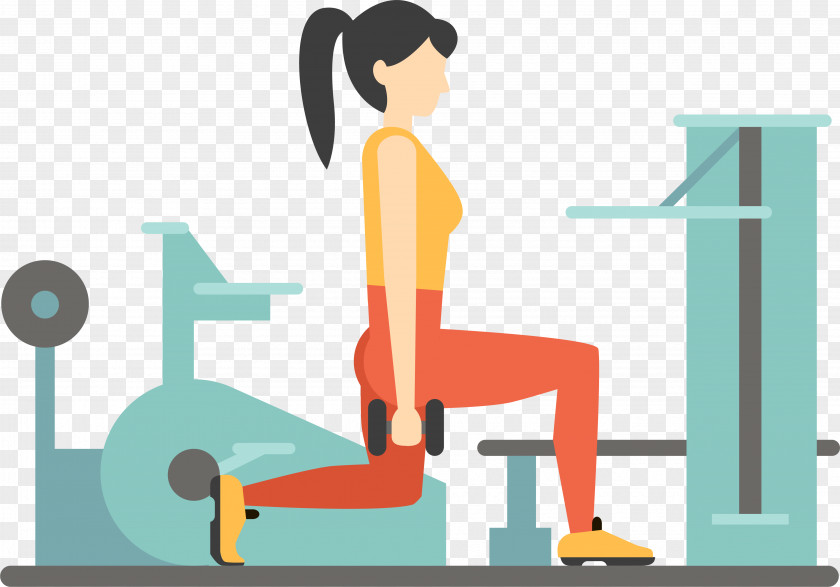 Vector Cartoon Woman Gym Fitness Centre Euclidean Weight Training PNG