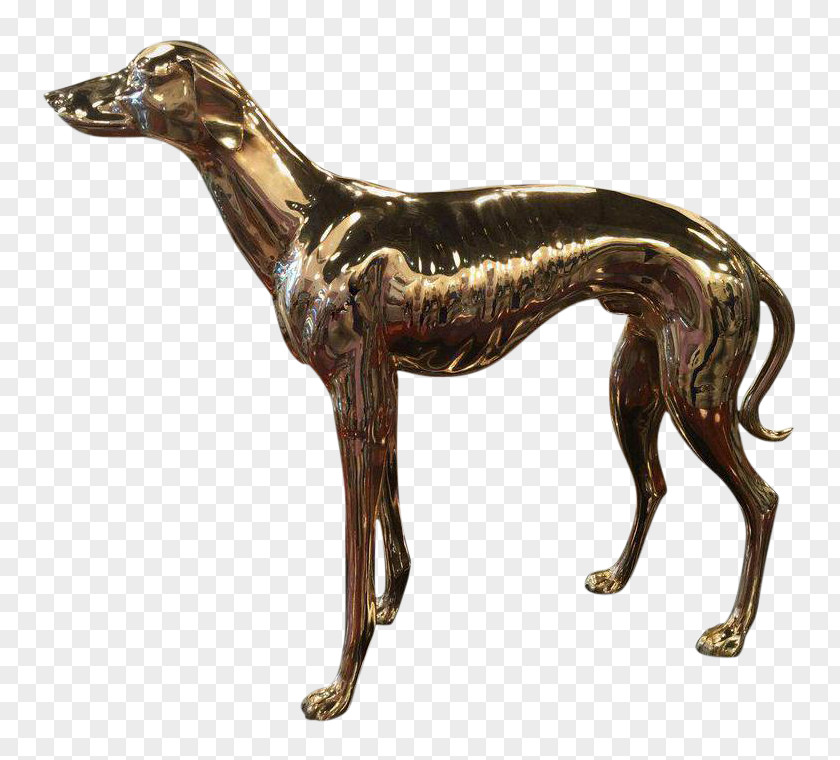 Whippet Italian Greyhound Pharaoh Hound Ark Encounter PNG