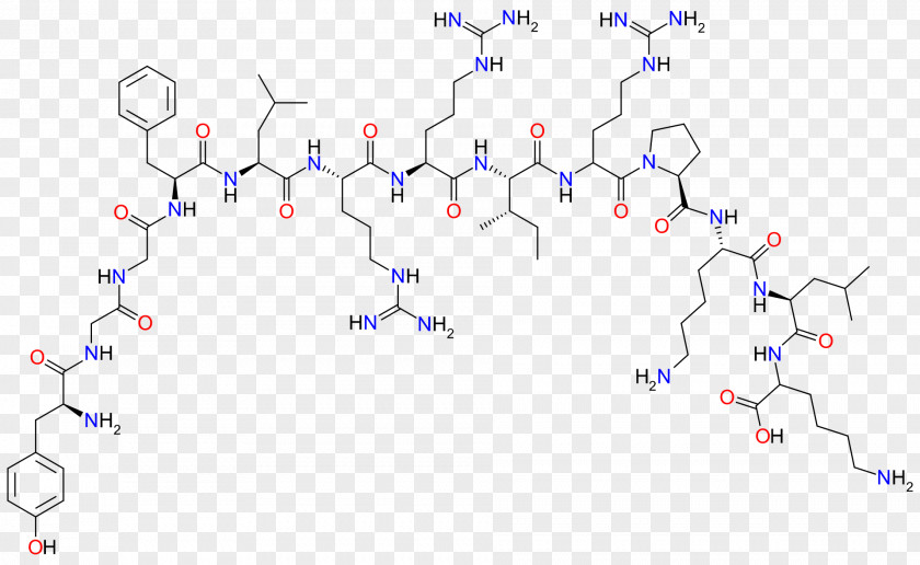 C Luo Dynorphin Endorphins Enkephalin Opioid Peptide Beta-Endorphin PNG