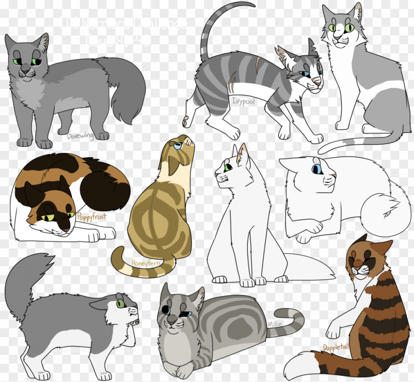 Kitten Whiskers Cat Dog Breed PNG