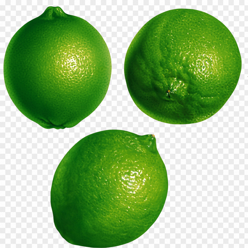 Lemon Material Free Download Persian Lime Orange Juice Key PNG